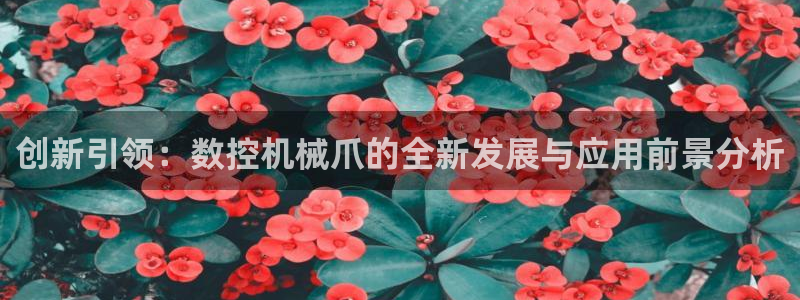 天辰app娱乐