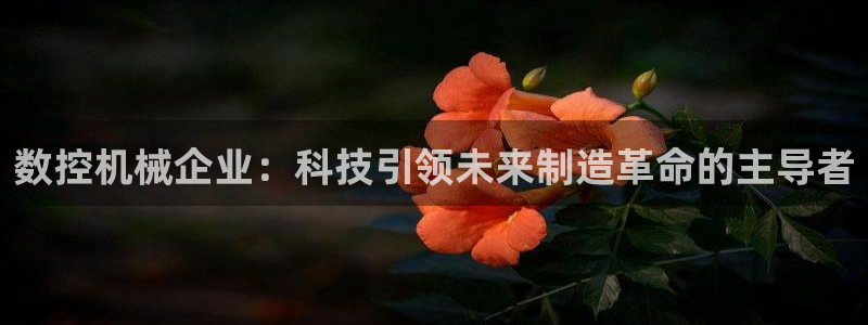 nba天辰娱乐