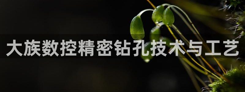 天辰娱乐总管年薪