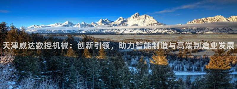 天辰娱乐平台测速:天津威达数控机械:创新引领,助力智能制造与高端制造业发展
