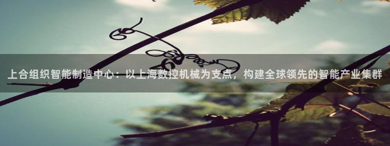 天辰娱乐客服:上合组织智能制造中心:以上海数控机械为支点,构建全球领先的智能产业集群