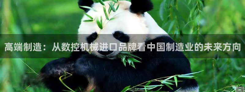 天辰娱乐棋牌