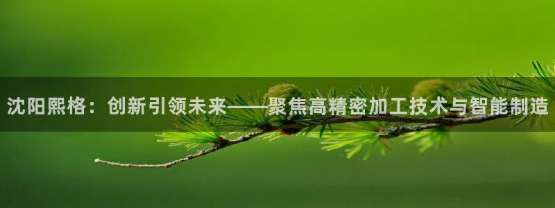 天辰娱乐39974神