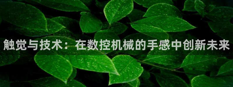 天辰娱乐游戏平台怎么样