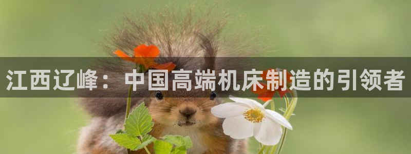 天辰娱乐下载链接