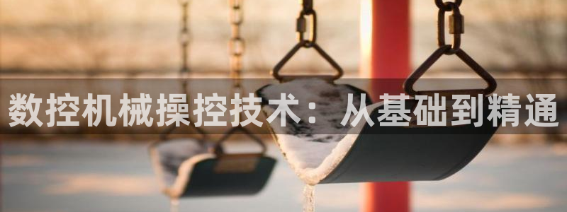 天辰娱乐 . 鱼刺