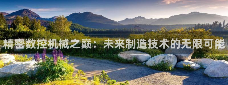 天辰登陆娱乐:精密数控机械之巅:未来制造技术的无限可能