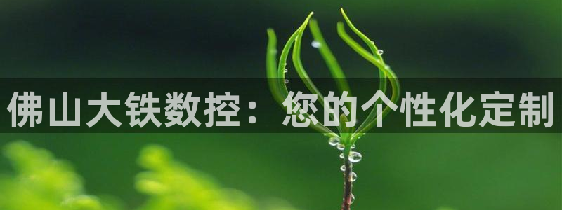 天辰娱乐主页:佛山大铁数控:您的个性化定制